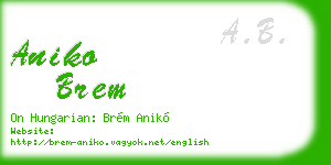 aniko brem business card