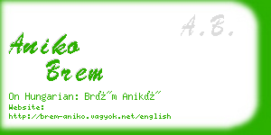 aniko brem business card